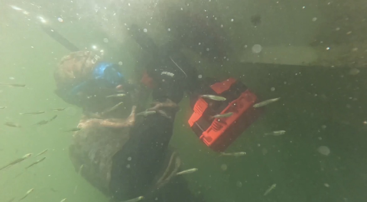 Diver running a powered scrubber across a fouled hull surface